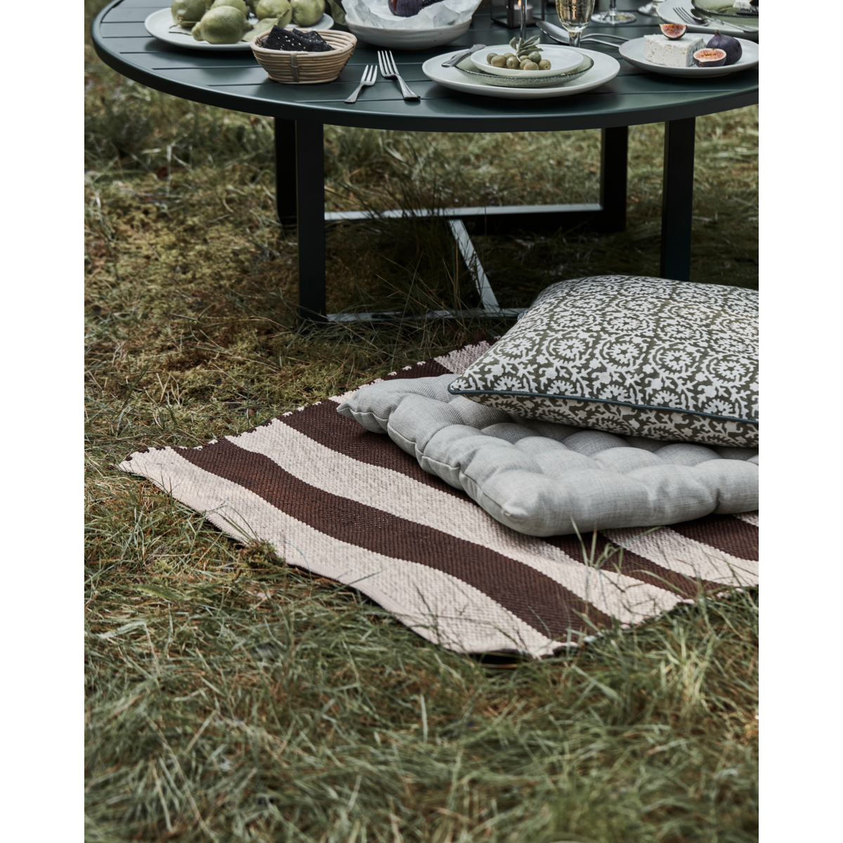 Decke, Hdalfo, Brown; Natur