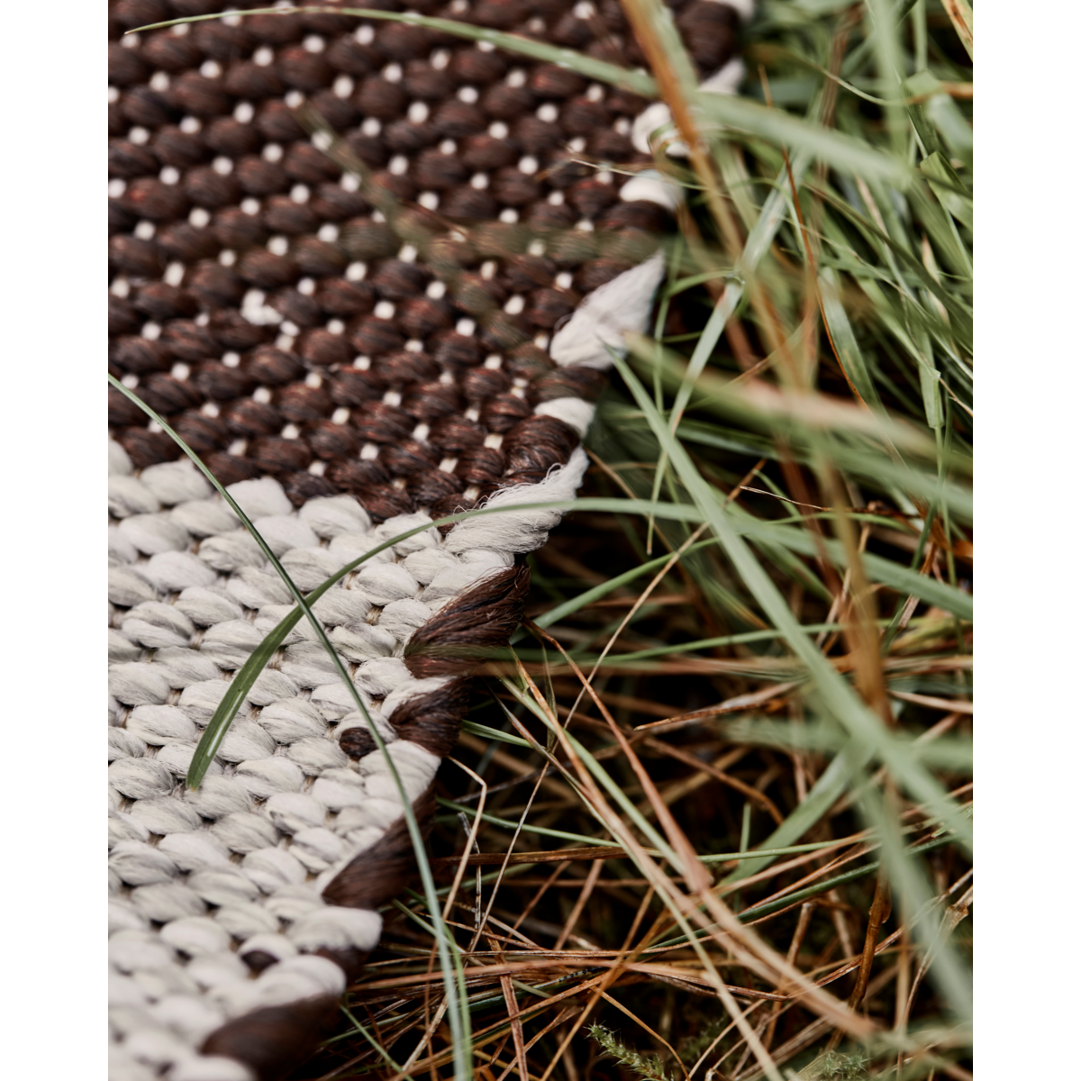 Decke, Hdalfo, Brown; Natur
