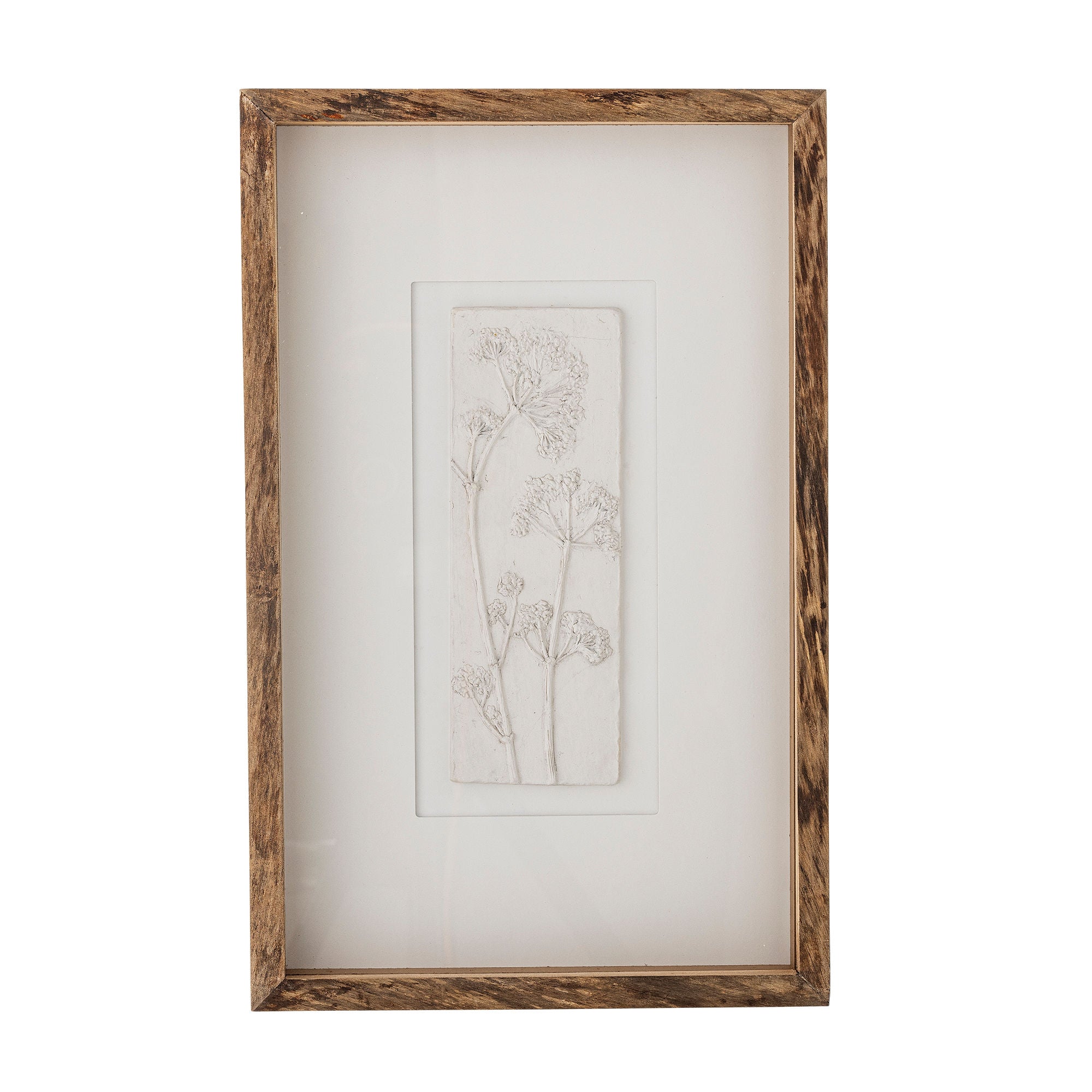 Kreative Sammlung Mey Illustration mit Rahmen, Natur, Kiefer