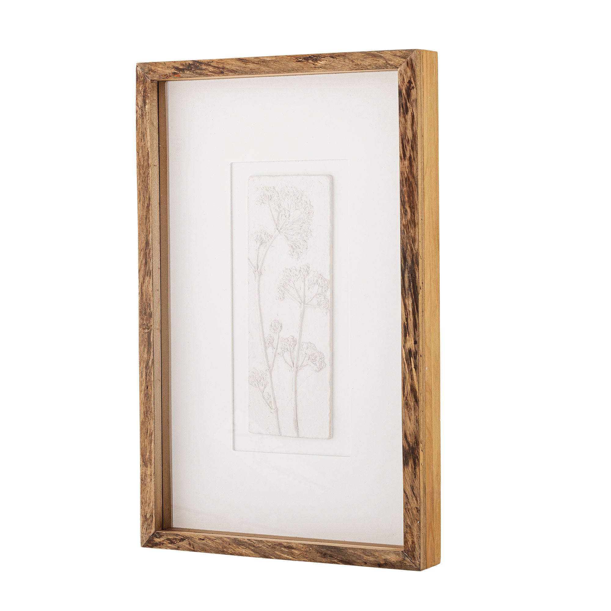 Kreative Sammlung Mey Illustration mit Rahmen, Natur, Kiefer