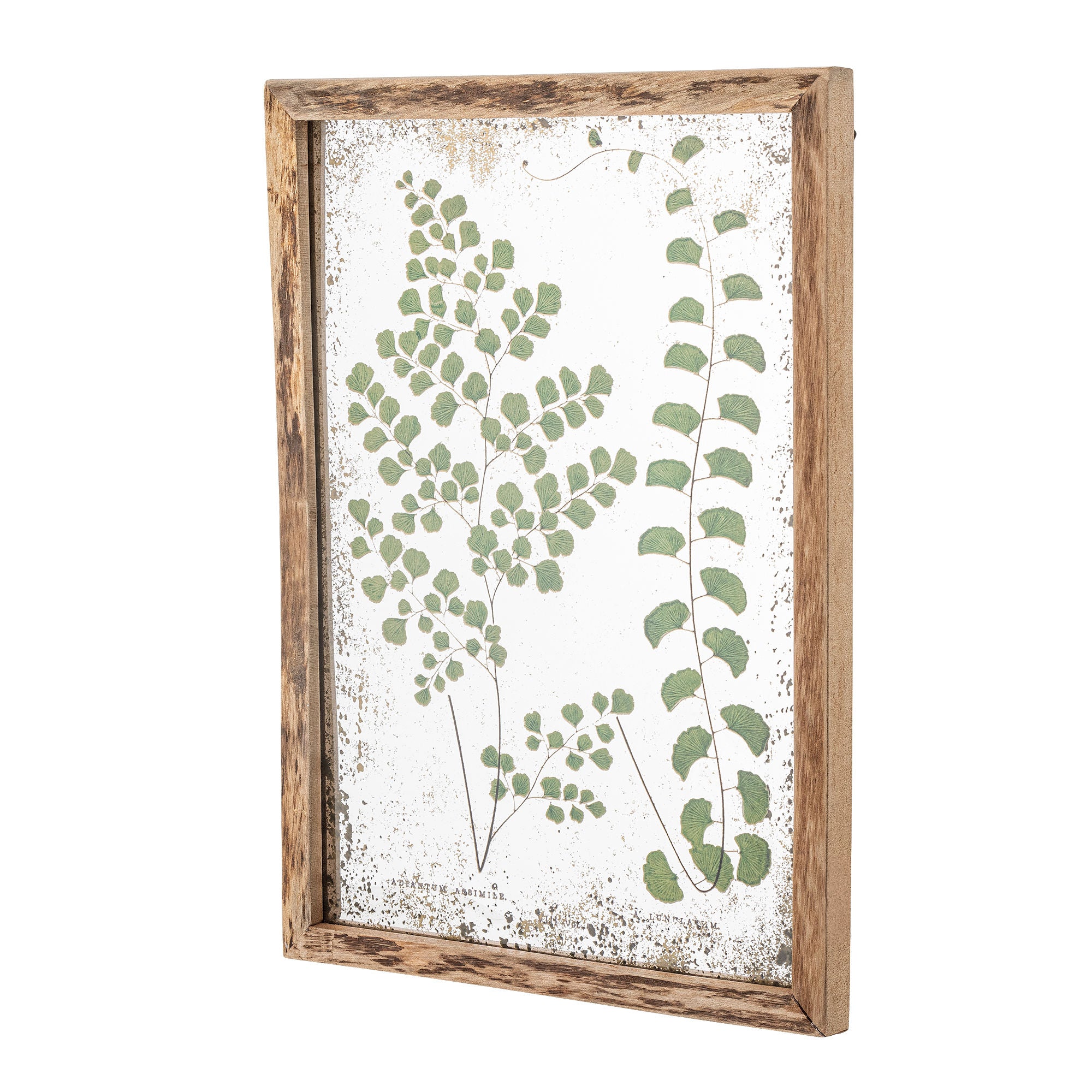Kreative Sammlung Tipper Illustration mit Rahmen, Natur, Kiefer