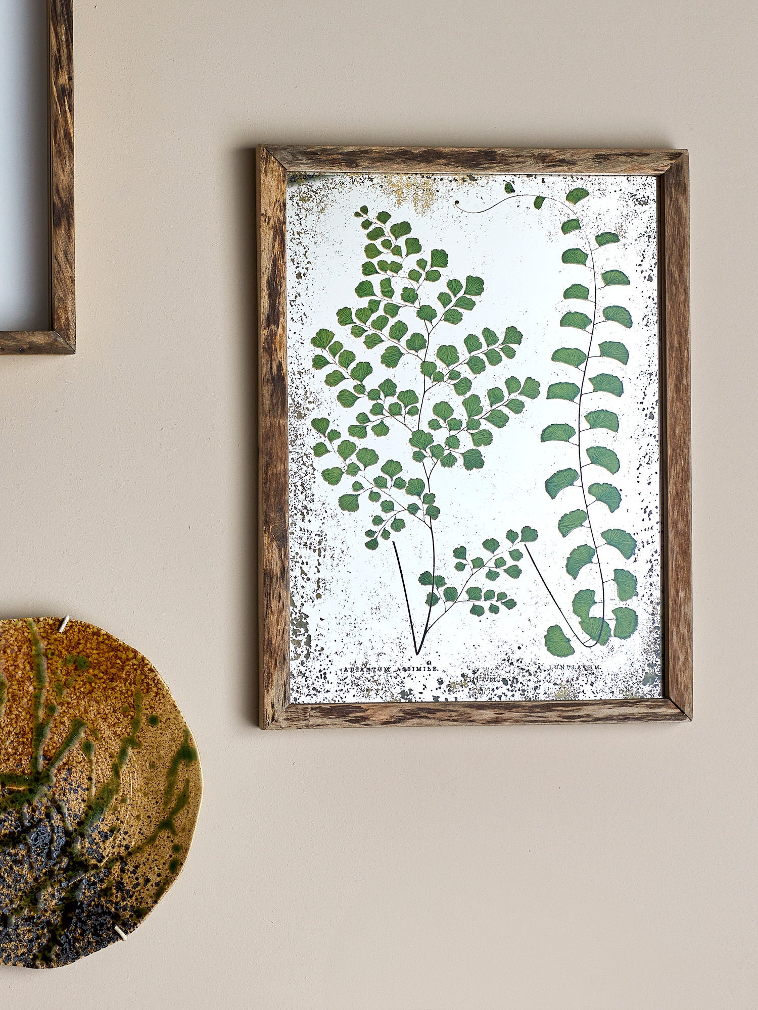 Kreative Sammlung Tipper Illustration mit Rahmen, Natur, Kiefer
