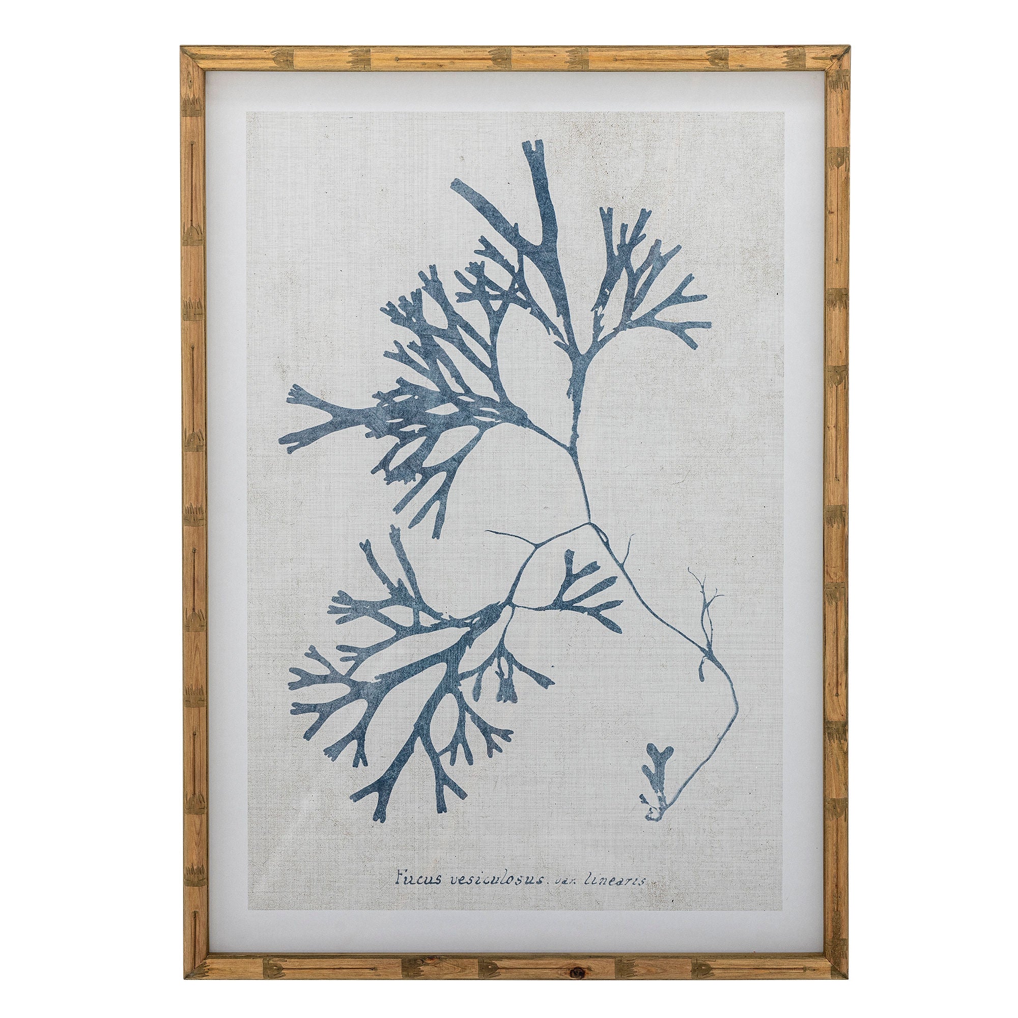 Kreative Sammlung Sumner Illustration mit Rahmen, Natur, Kiefer