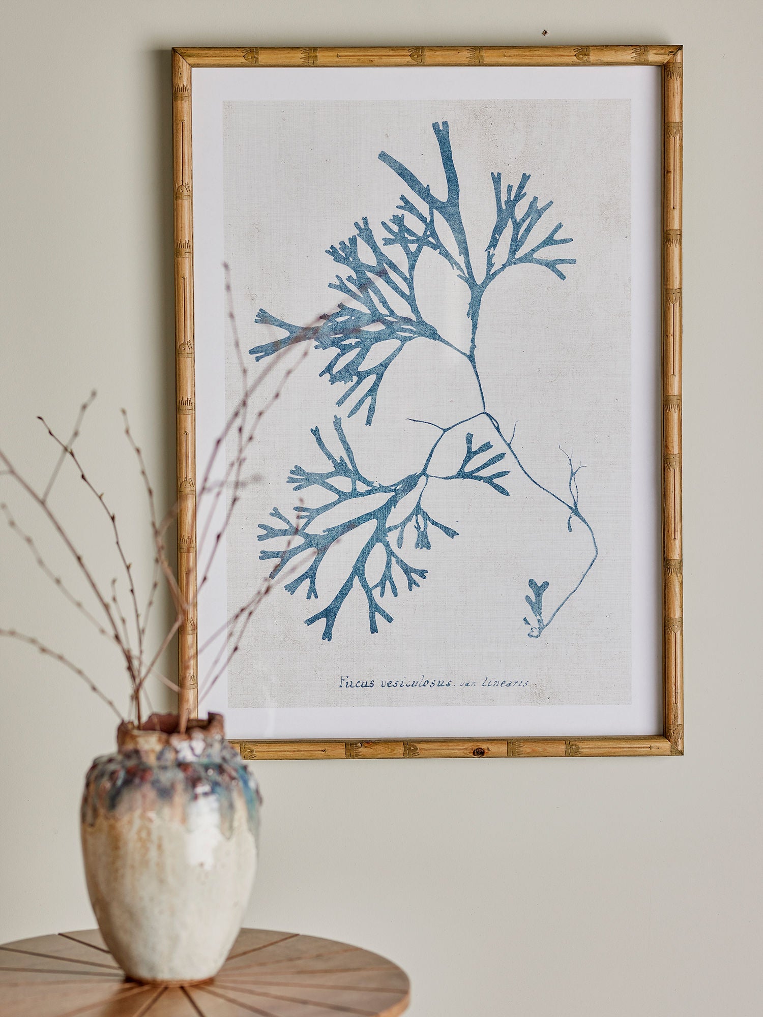 Kreative Sammlung Sumner Illustration mit Rahmen, Natur, Kiefer