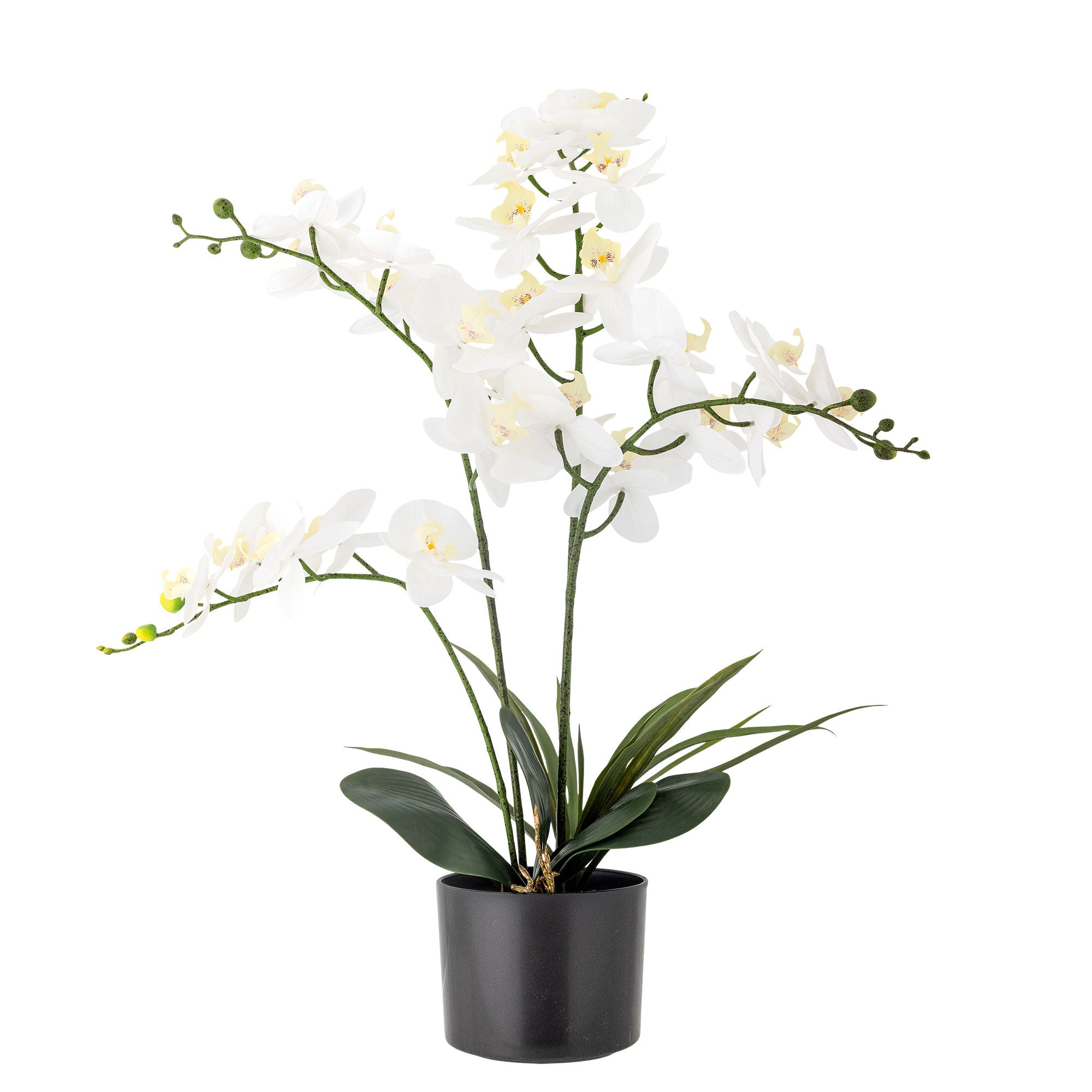 Bloomingville Orchideenpflanze, grüne, künstliche Blumen
