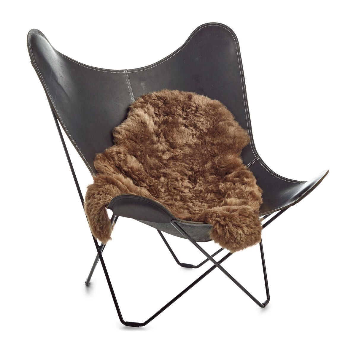 Lammfell | Kurzhaarig | Island | 100-120x60 cm