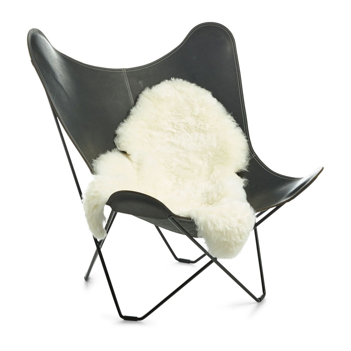 Lammfell | Kurzhaarig | Island | 120+x60 cm