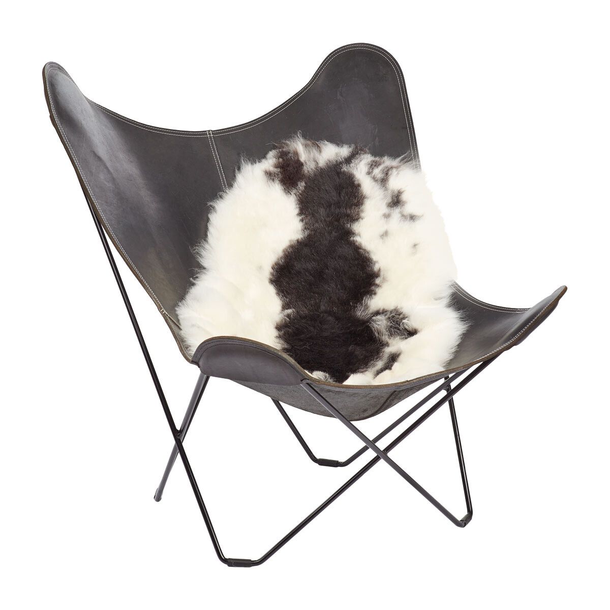 Lammfell | Kurzhaarig | Island | 100-120x60 cm