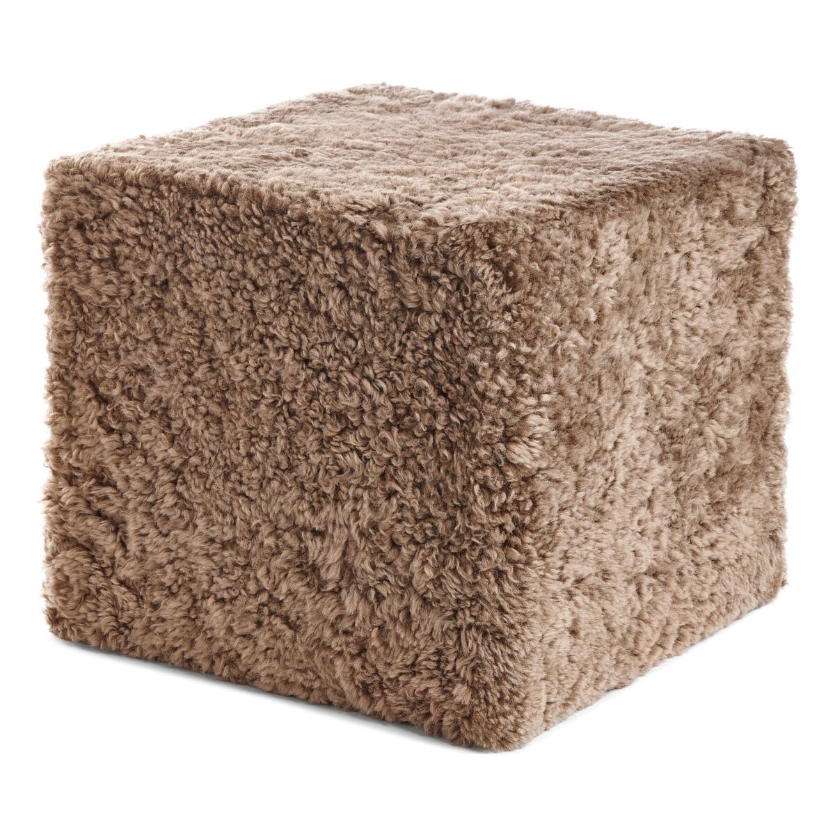 Puh | Kurzhaarig | Neuseeland