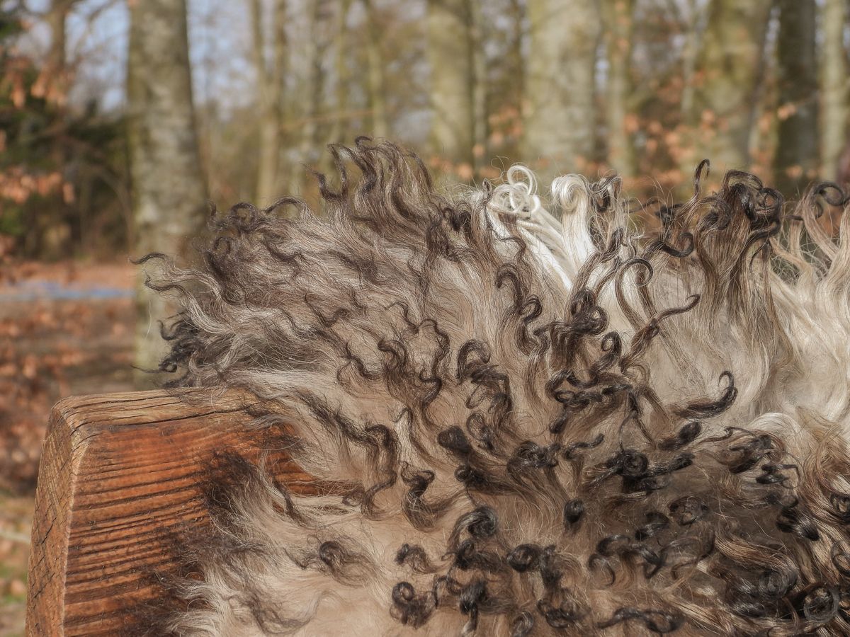 Lammfell | Lockig | Österreich | 90x60 cm