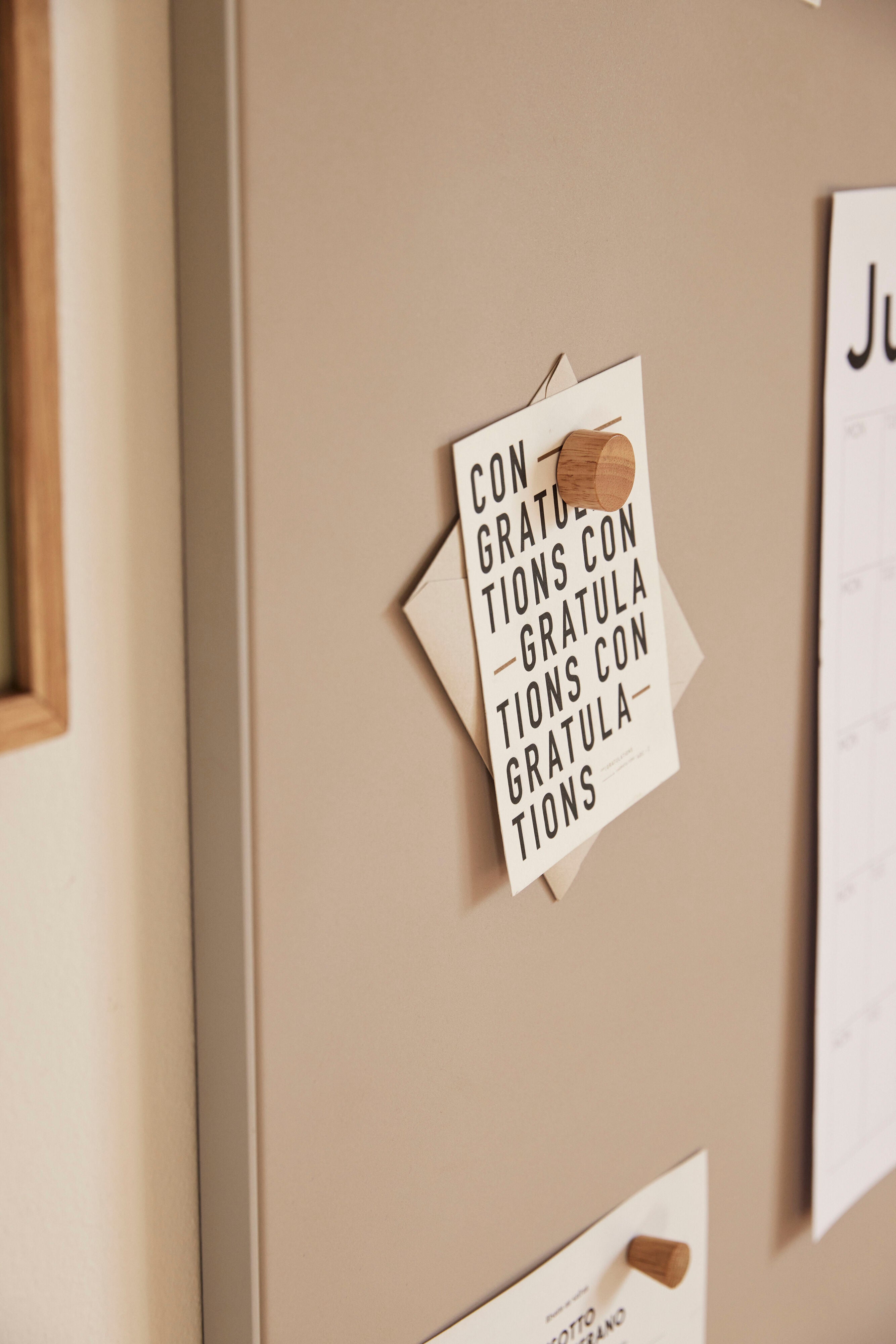 Anziehungsmagnete Natur - ø3xh2cm