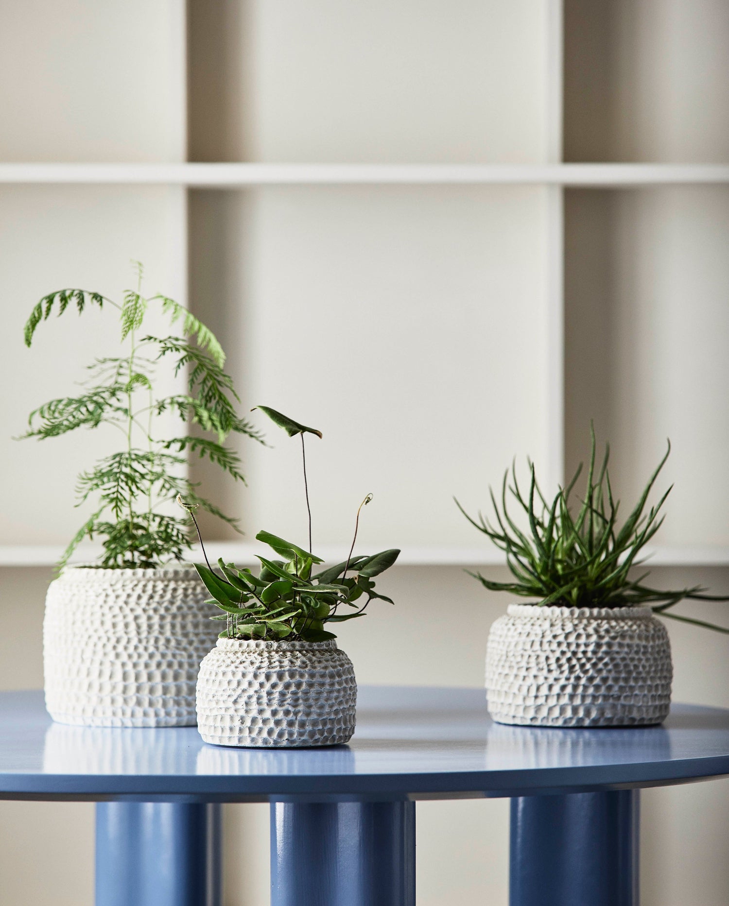 Aoba Jar im Zement, m - weiß