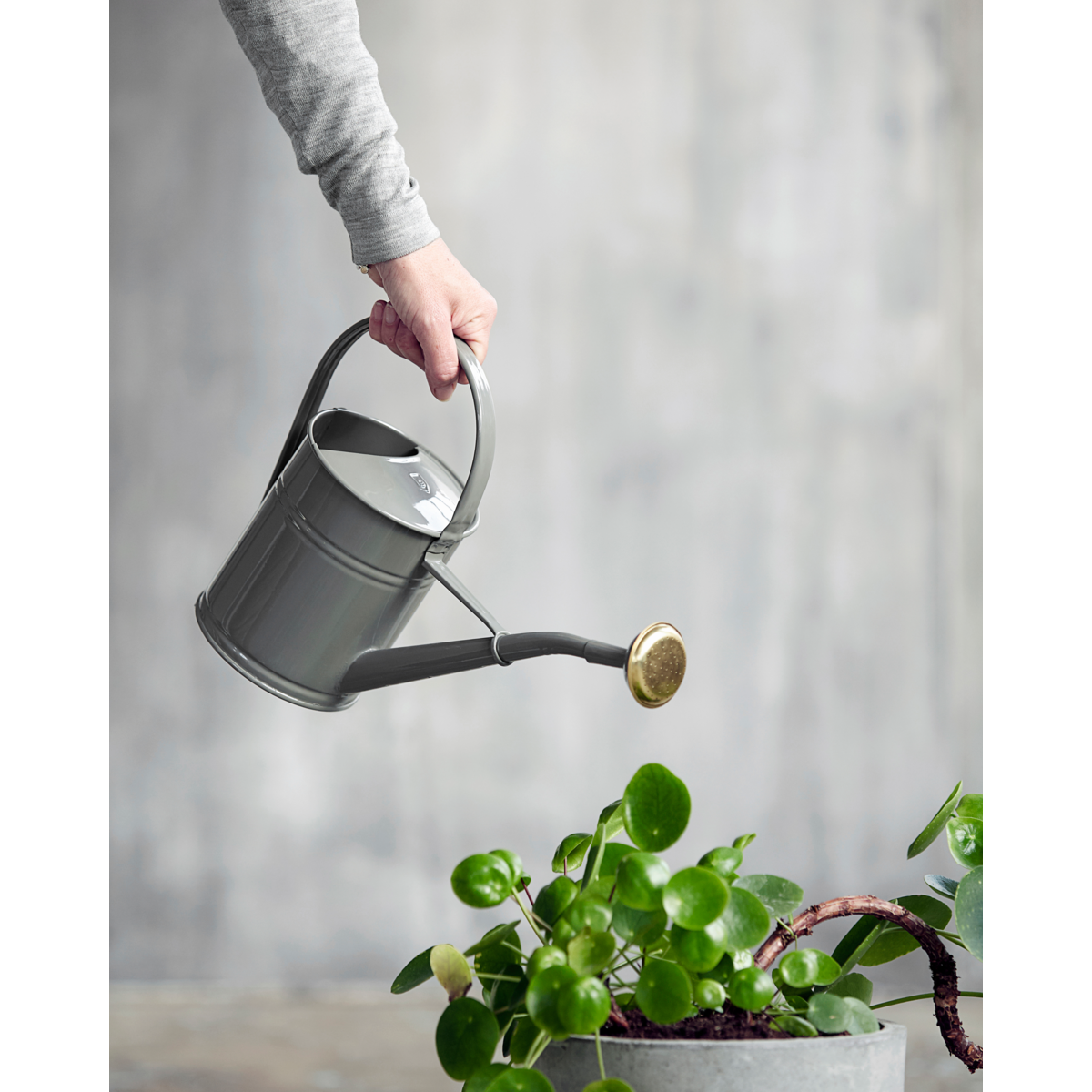 House Doctor - Wasserkrug, HDWan, Grau