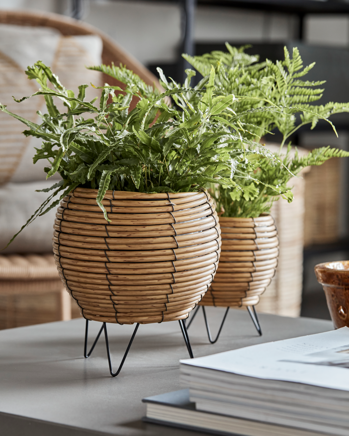 Blumentopf, HDGleen, Natur