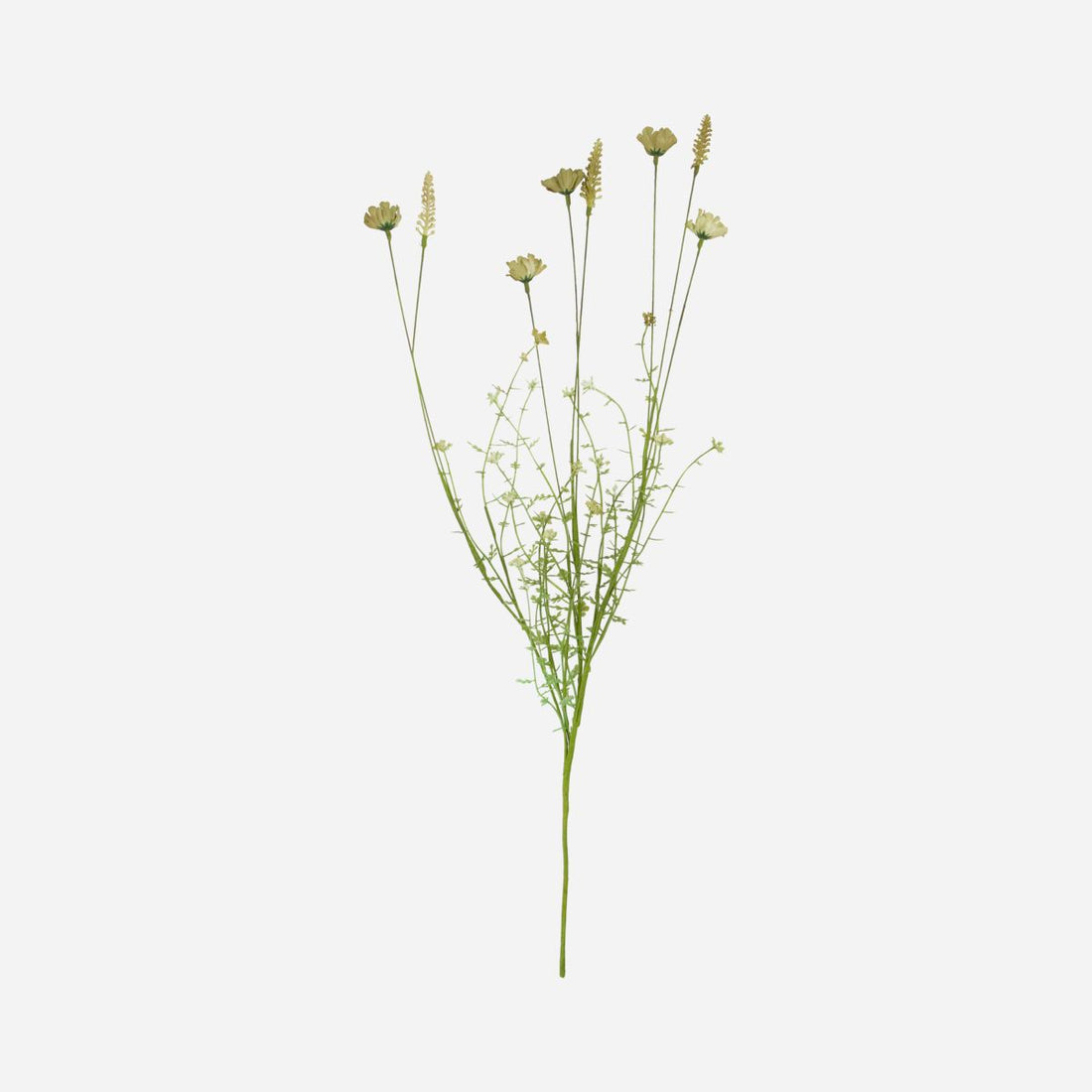 Hausarzt Blume, wilder Beige - L: 70 cm