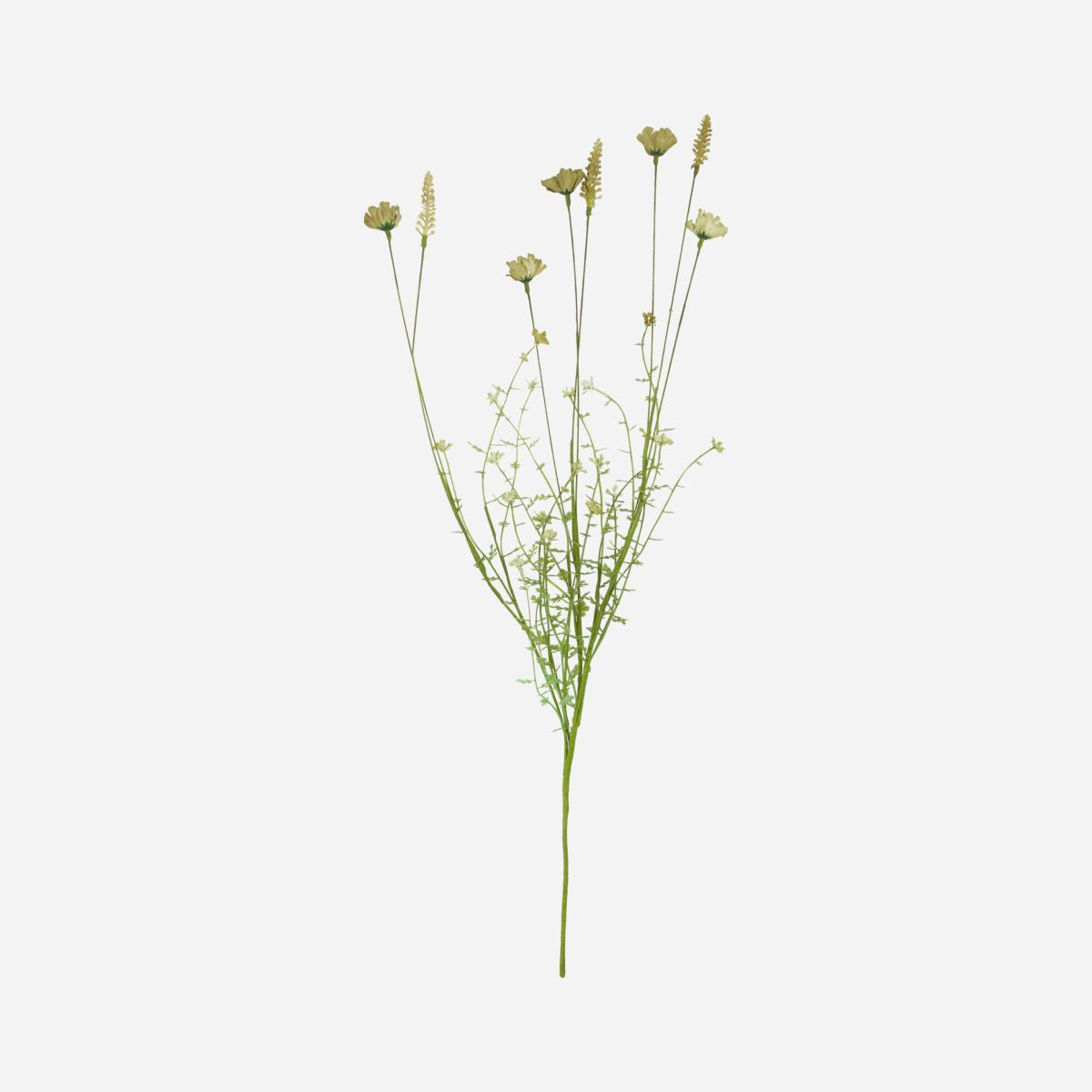 Hausarzt Blume, wilder Beige - L: 70 cm