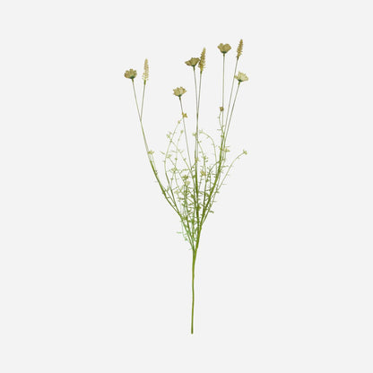 Hausarzt Blume, wilder Beige - L: 70 cm