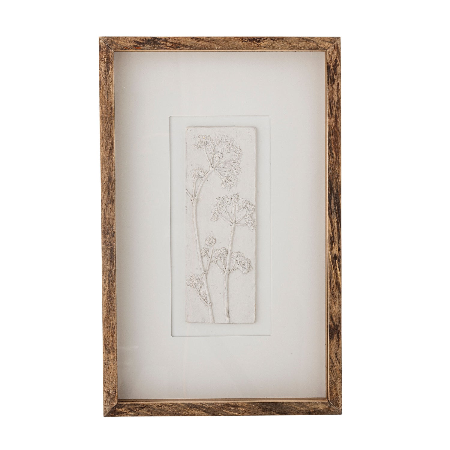 Kreative Sammlung Mey Illustration mit Rahmen, Natur, Kiefer