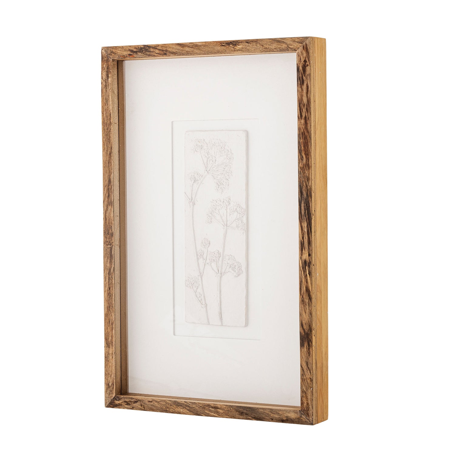 Kreative Sammlung Mey Illustration mit Rahmen, Natur, Kiefer