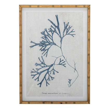 Kreative Sammlung Sumner Illustration mit Rahmen, Natur, Kiefer