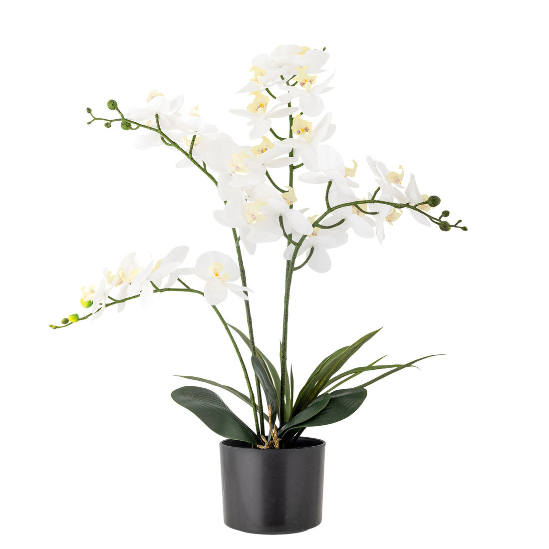 Bloomingville Orchideenpflanze, grüne, künstliche Blumen