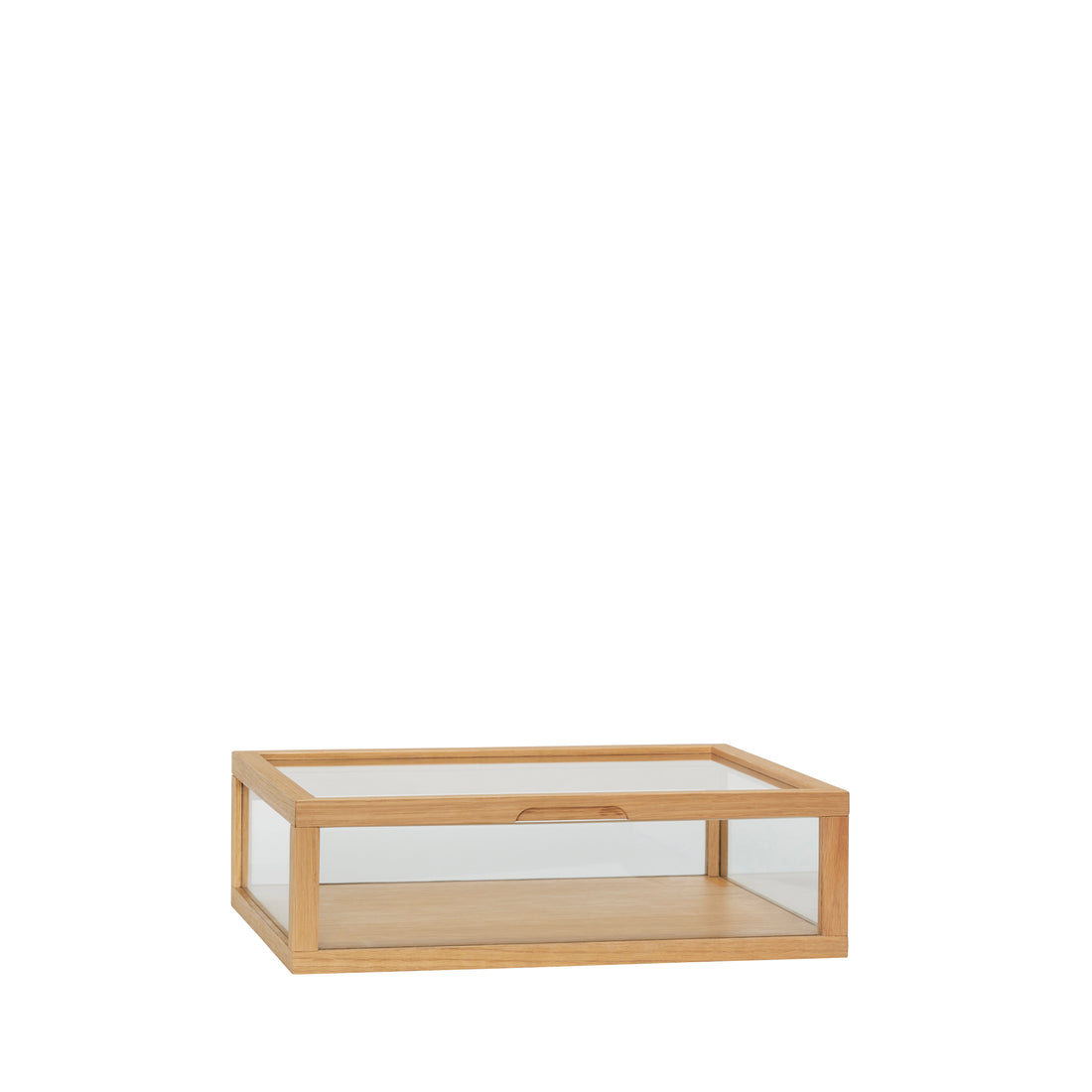 Ausstellung Ausstellung Montre Small Nature - 40x30xh12cm