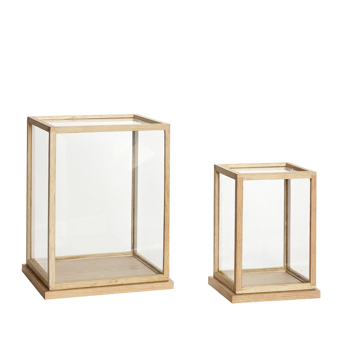 Spektakelausstellung Contrer Large Nature (Set von 2) - 22x16xh30, 32x28xh40cm