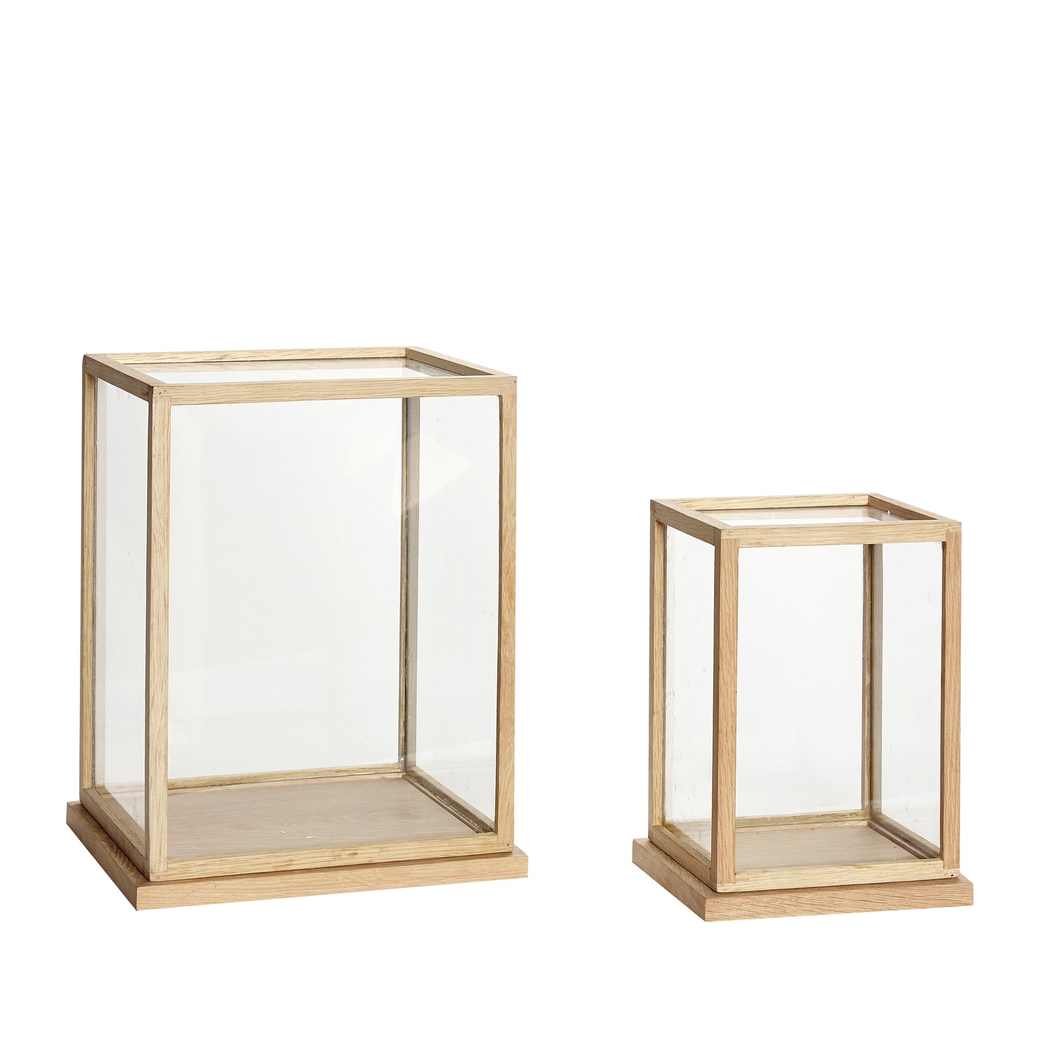 Spektakelausstellung Contrer Large Nature (Set von 2) - 22x16xh30, 32x28xh40cm