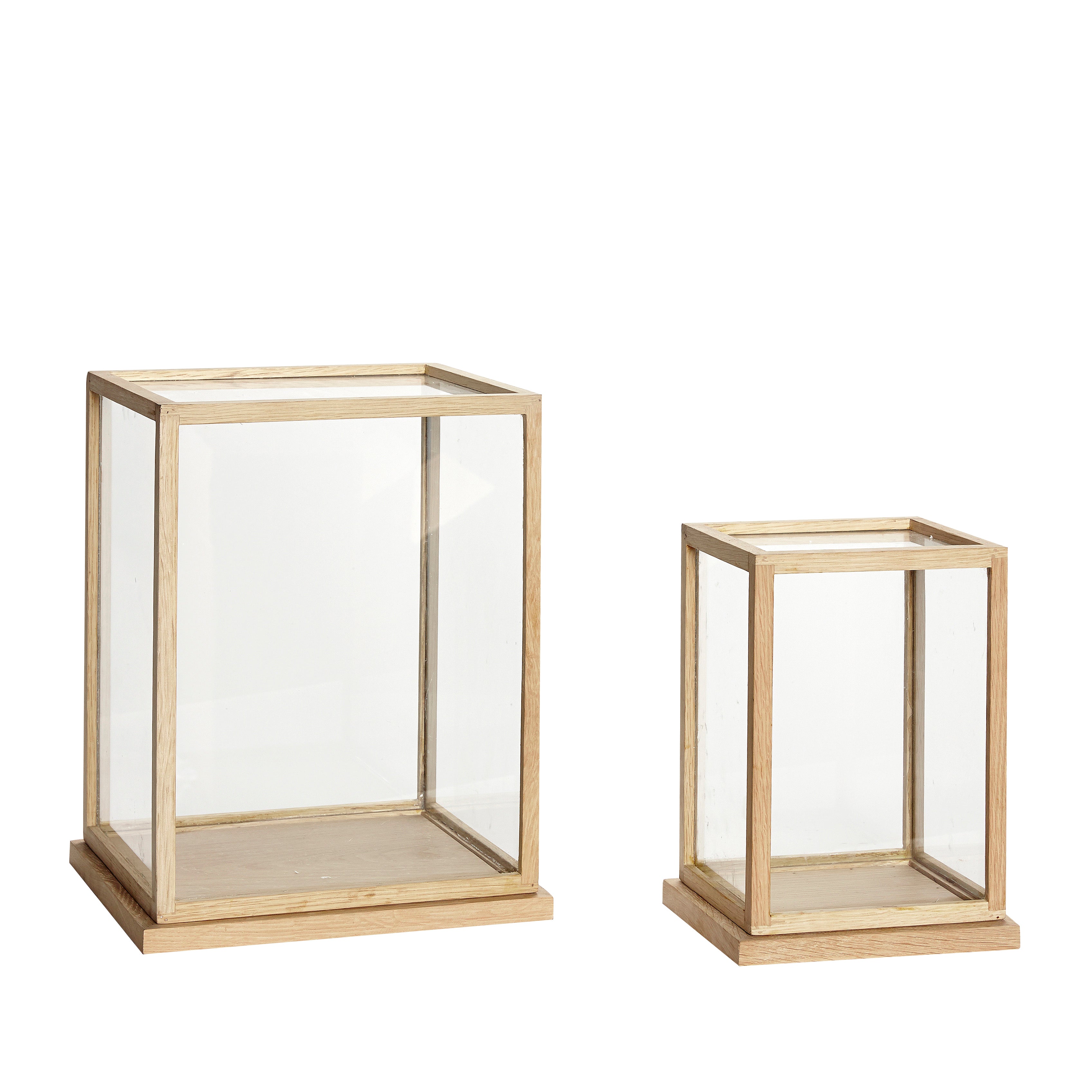 Spektakelausstellung Contrer Large Nature (Set von 2) - 22x16xh30, 32x28xh40cm
