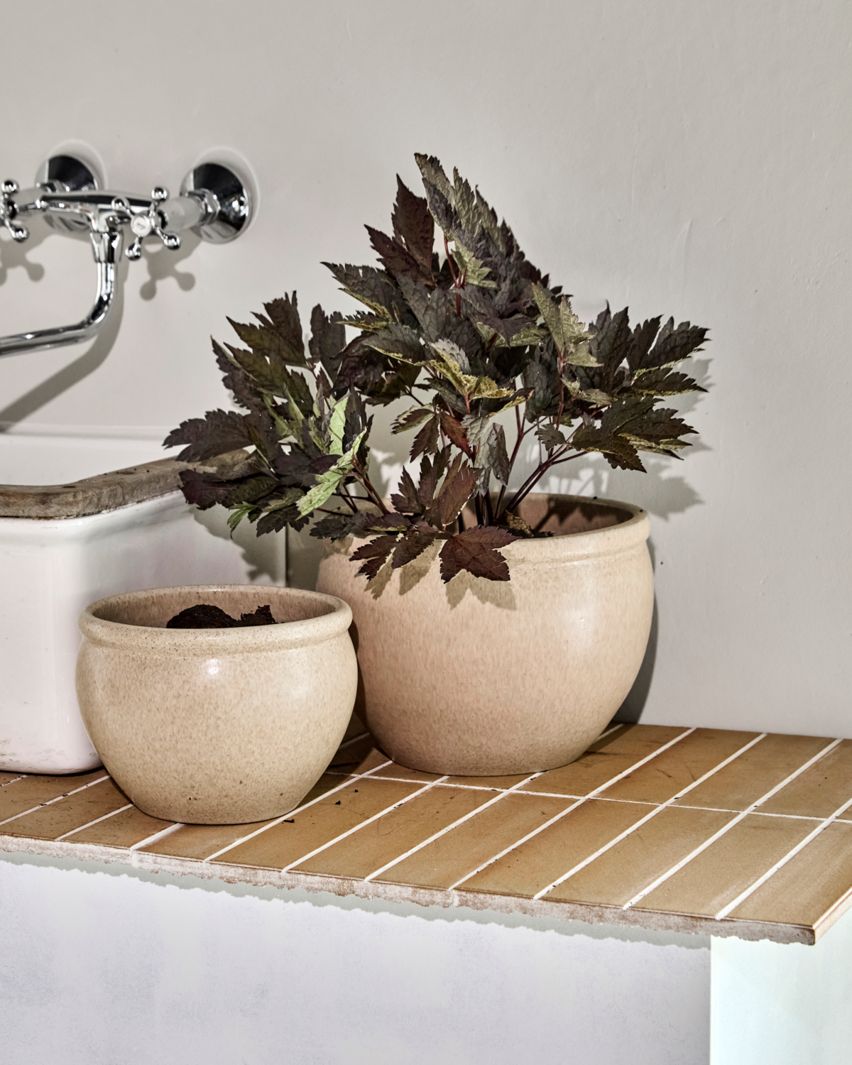 Blumentopf, HDVale, Beige