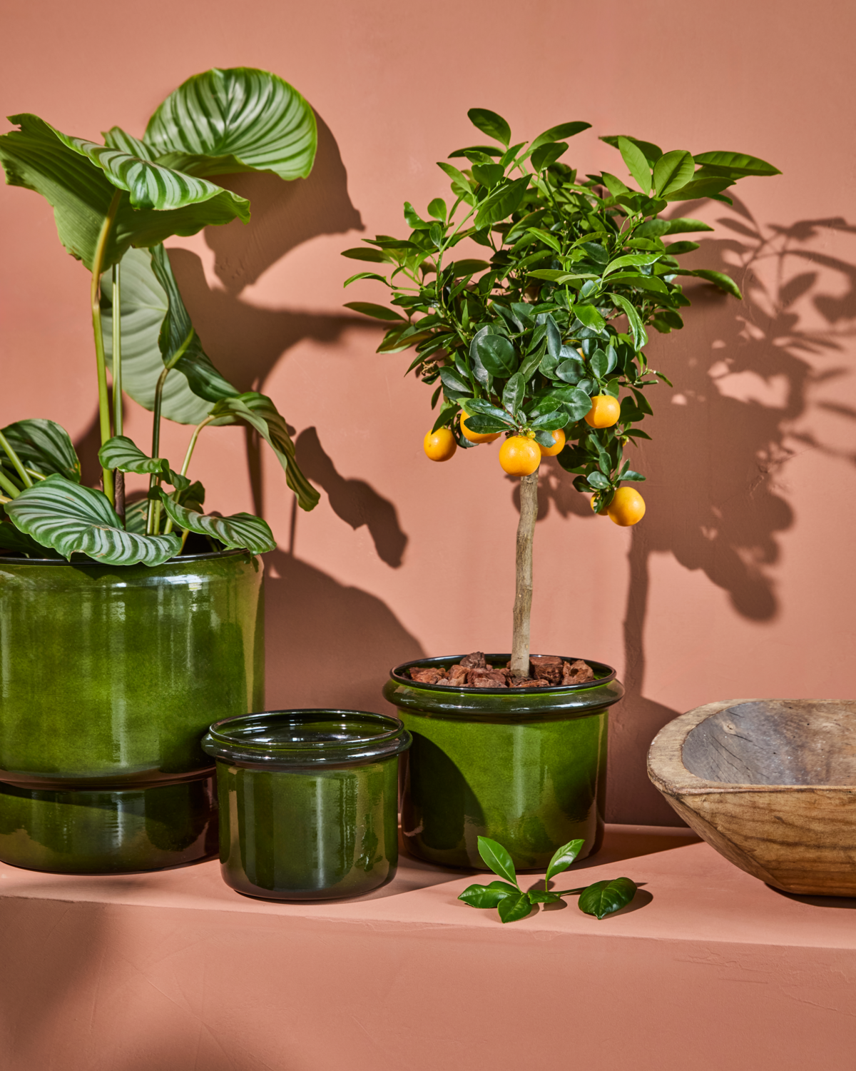 Blumentopf, HDHoop, Grün