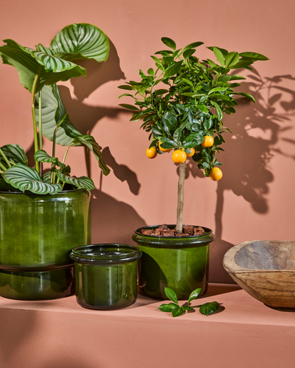 Blumentopf, HDHoop, Grün