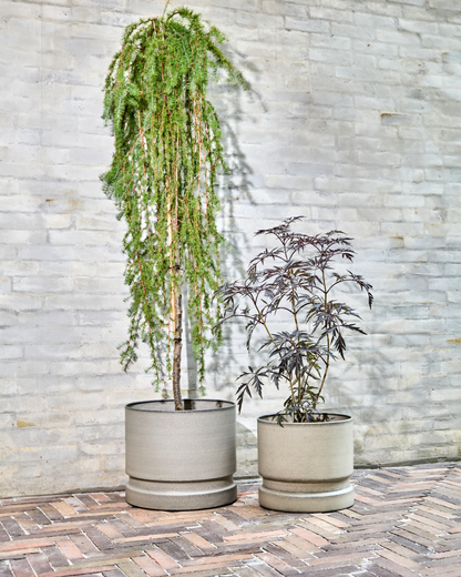 Blumentopf, HDPeple, Sand