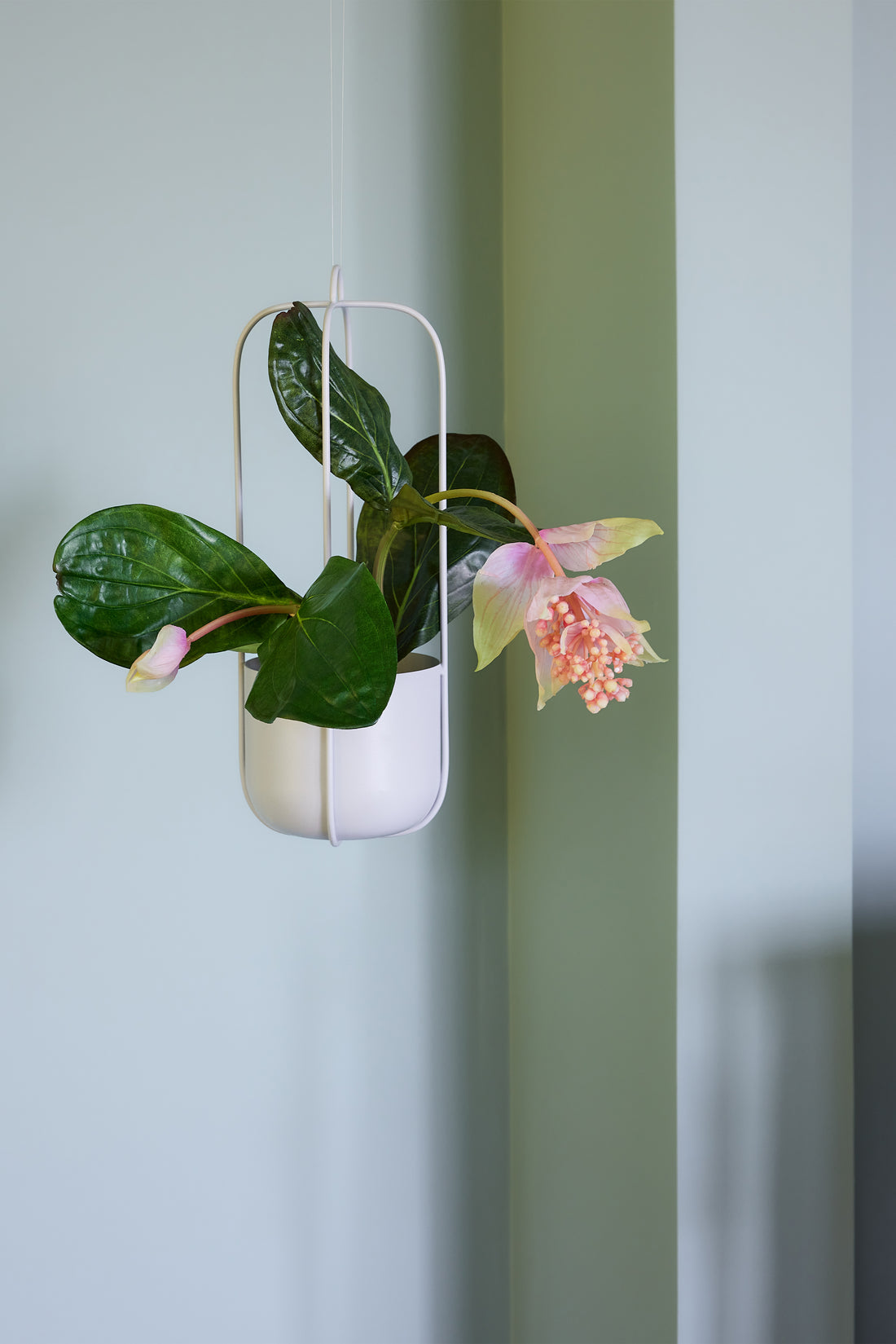 Lotus Hanging Pot Hellgrau (Set von 2) - Ø16xh44cm