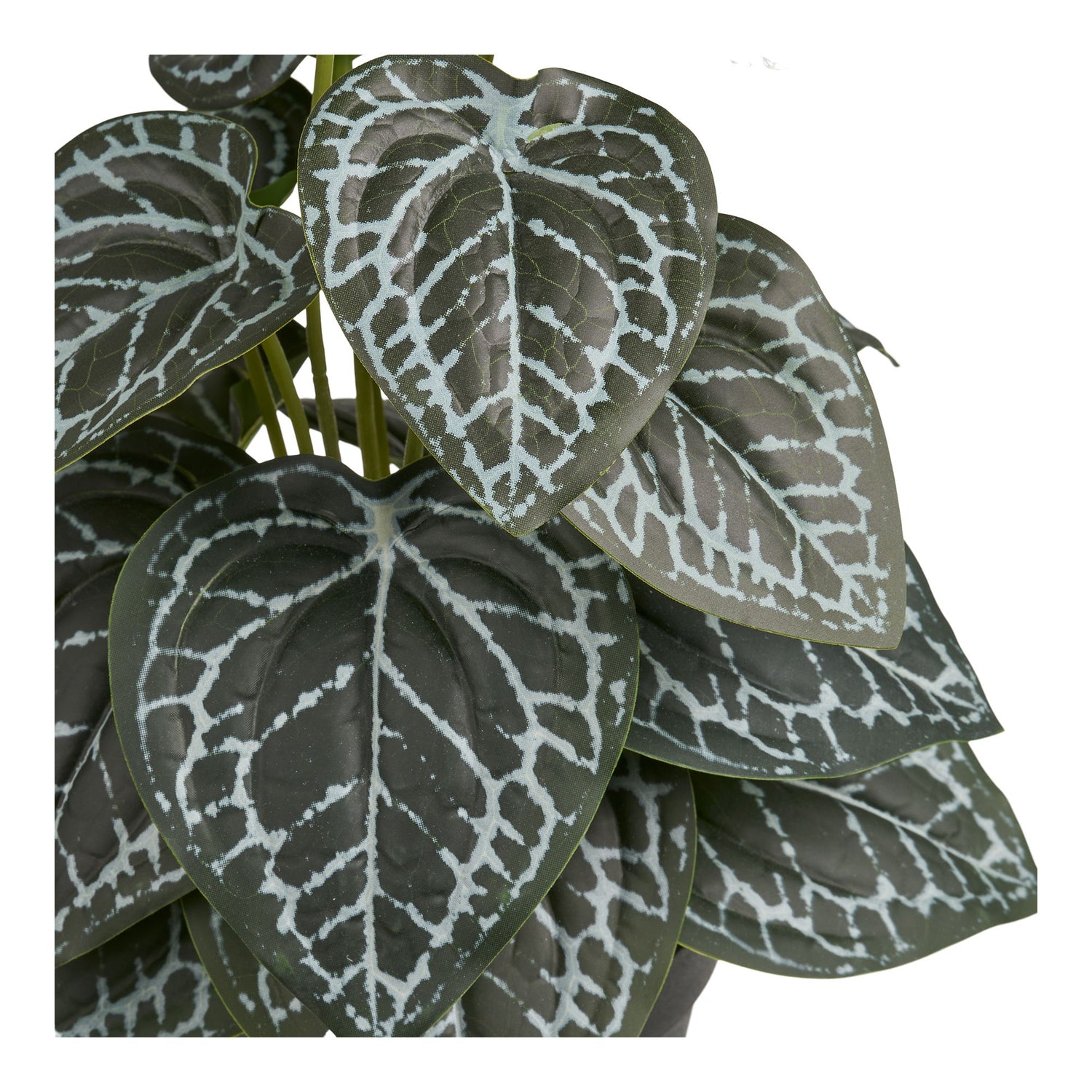 Künstliche Pflanze - Pflanze, Grün H: 33 cm