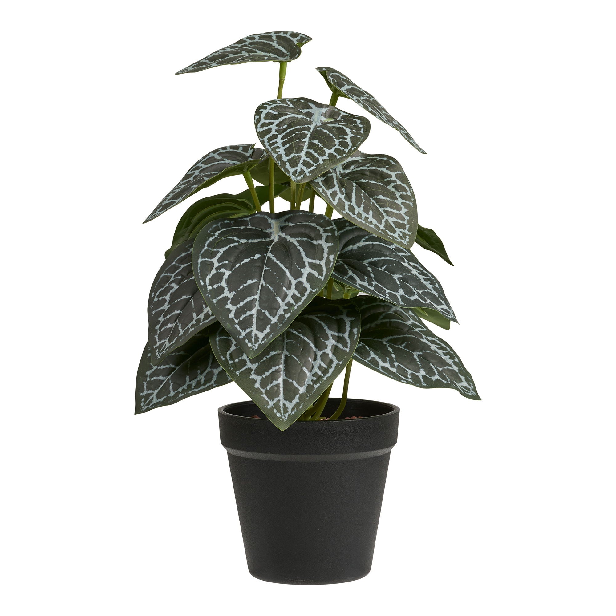 Künstliche Pflanze - Pflanze, Grün H: 33 cm