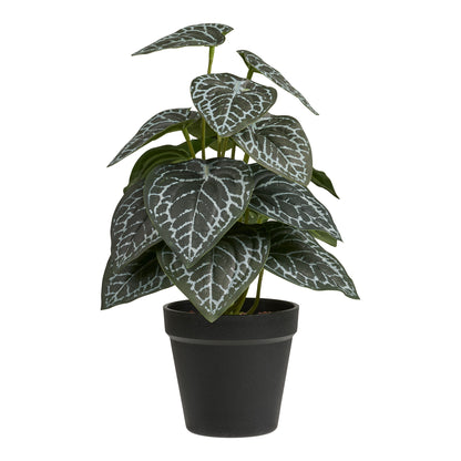 Künstliche Pflanze - Pflanze, Grün H: 33 cm