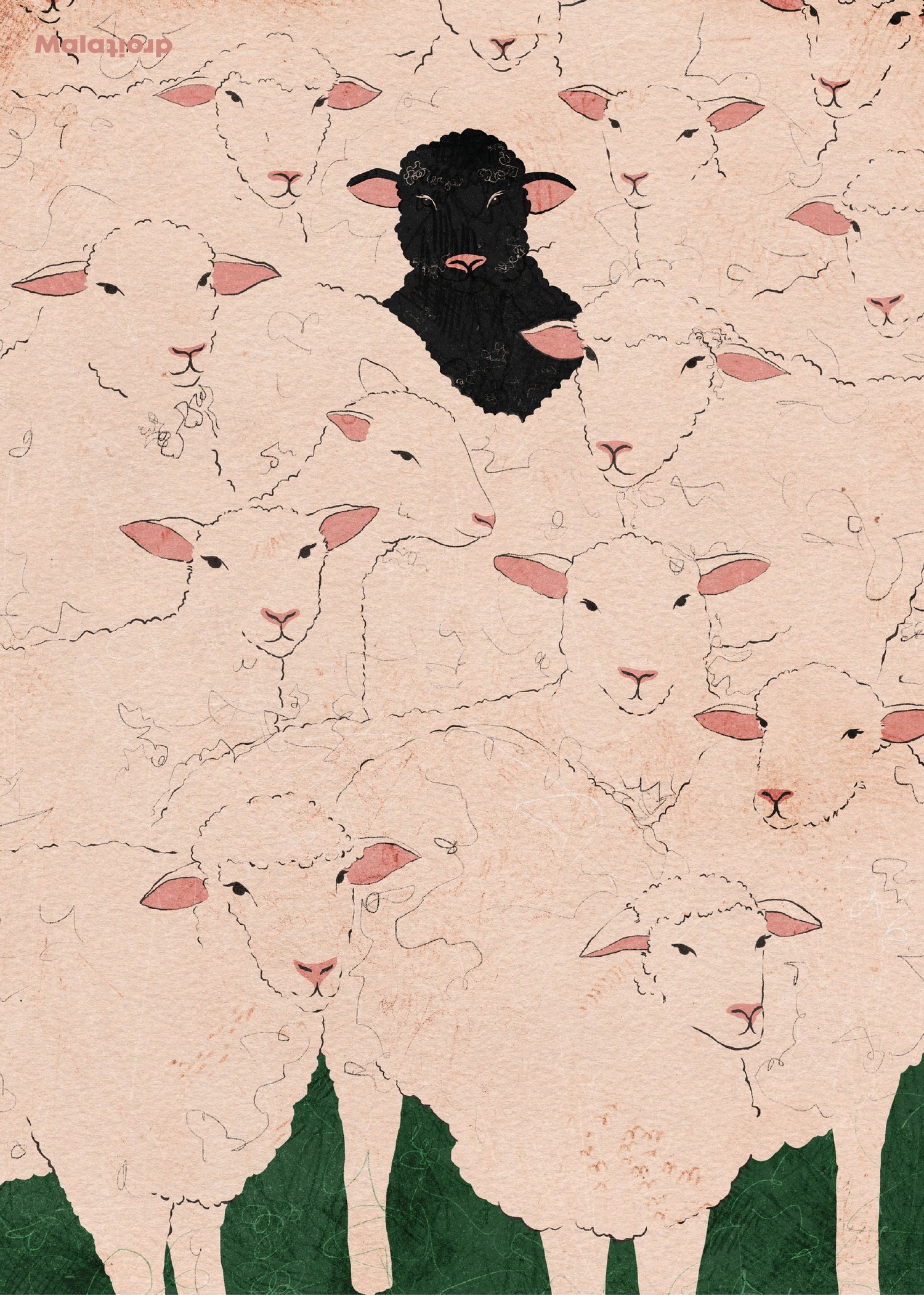 Das schwarze Schaf