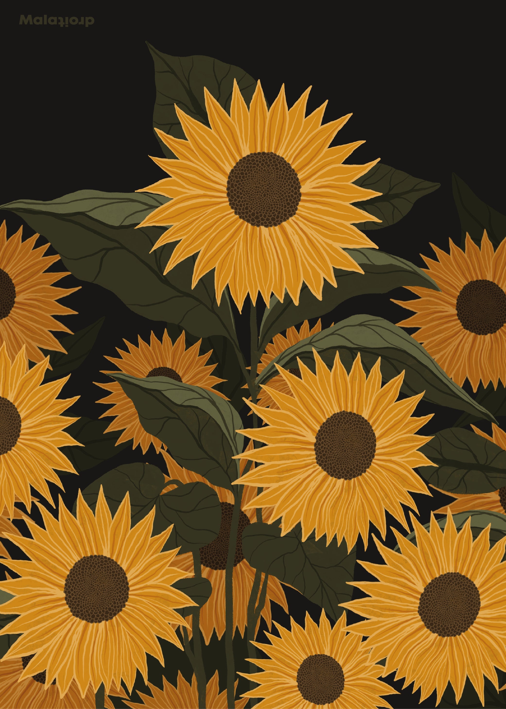 Sonnenblumen