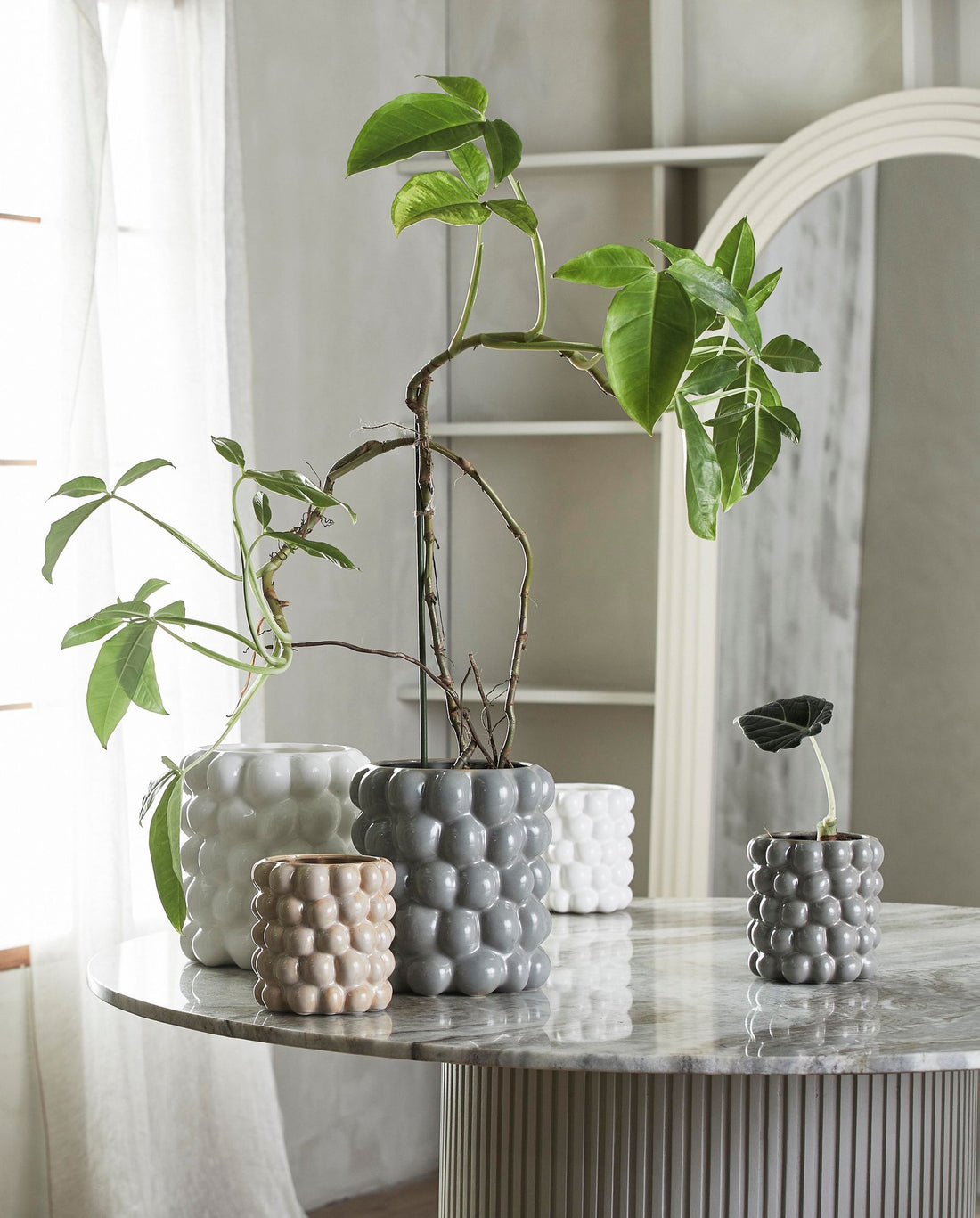 Carna Herbal -Topf in Porzellan - klein - Ø15,5 cm - Grau