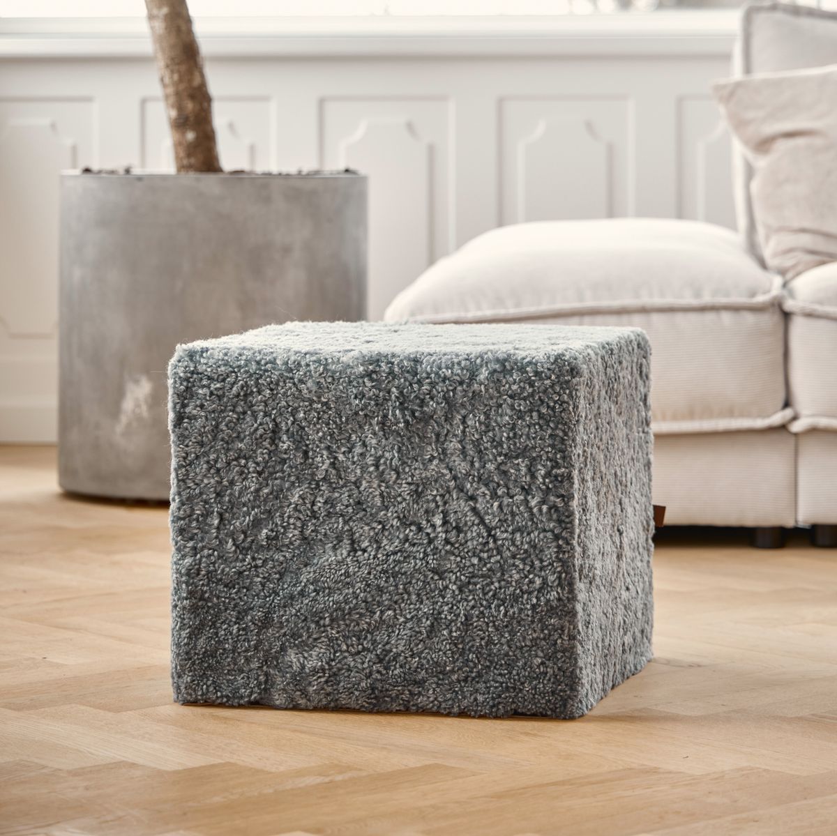 Puh | Kurzhaarig | Neuseeland