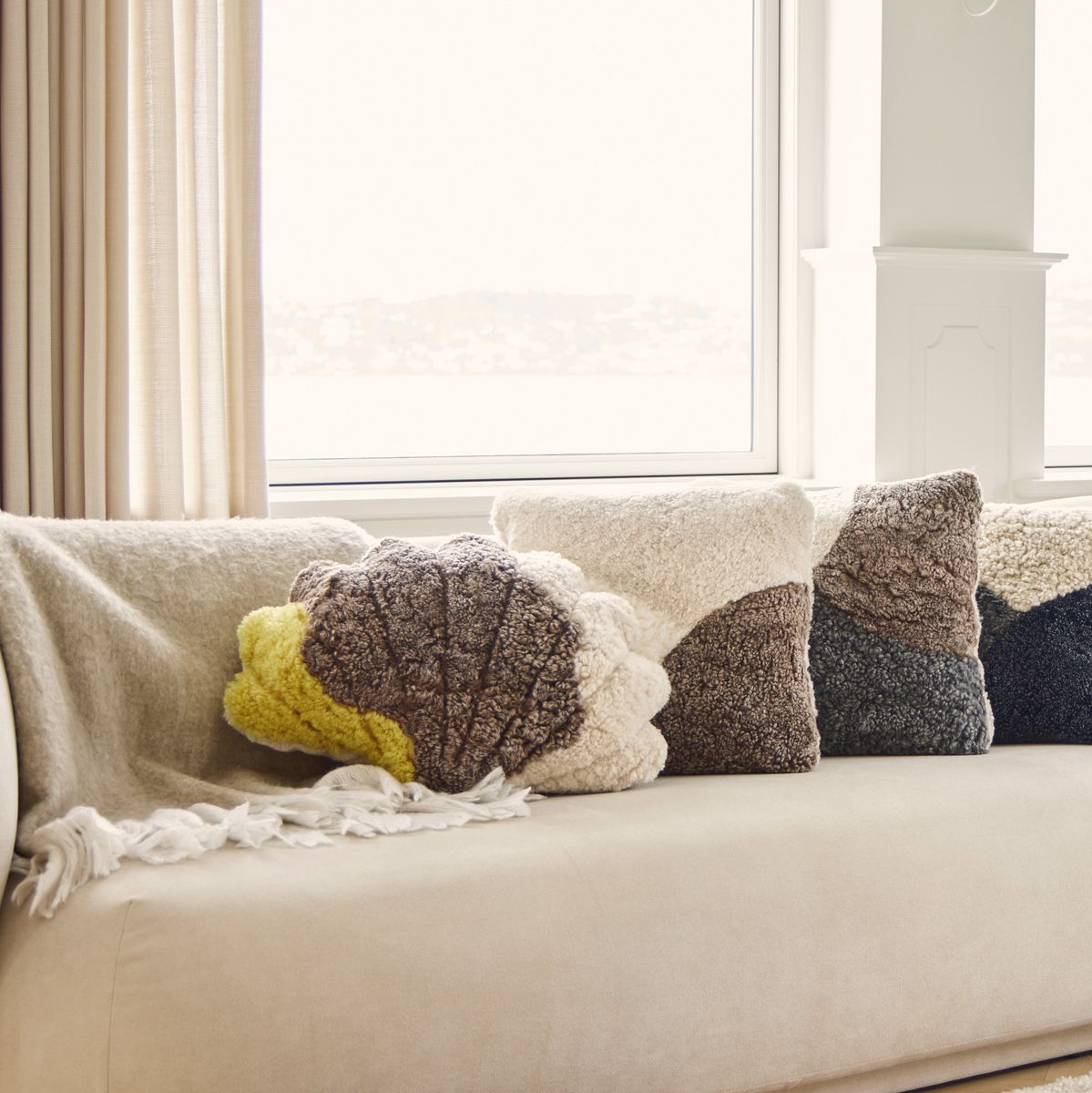 Dreifarbiges Muschelkissen | Kurzhaarig | Neuseeland