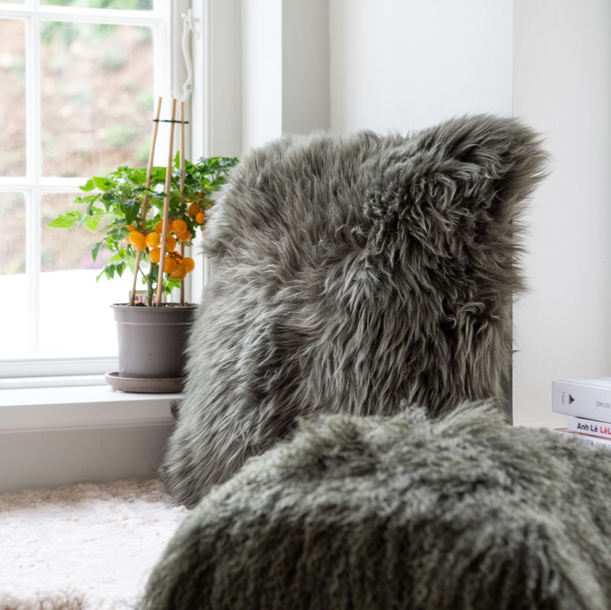 Lammfellkissen | Langhaarig | Neuseeland | 50x50 cm