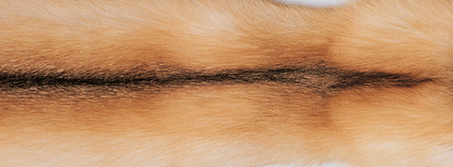 Kariert | Kaschmir, Fuchs | 130x200 cm