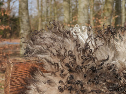 Lammfell | Lockig | Österreich | 90x60 cm