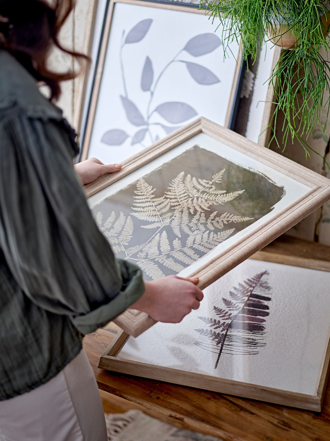 Kreative Sammlung Corval Illustration mit Rahmen, Natur, Kiefer