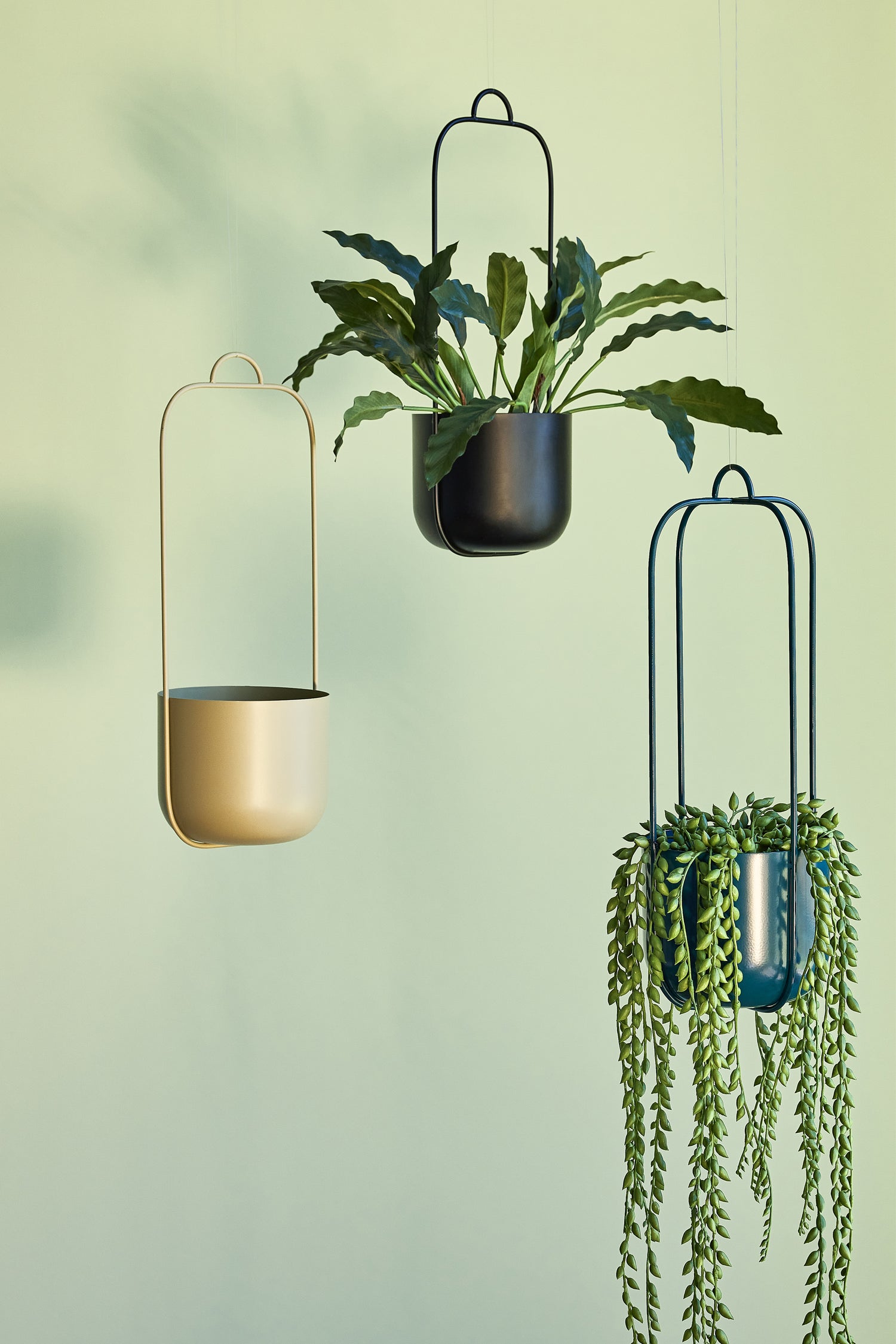 Lotus Hanging Pot Black (Set 2) - Ø16xH44cm