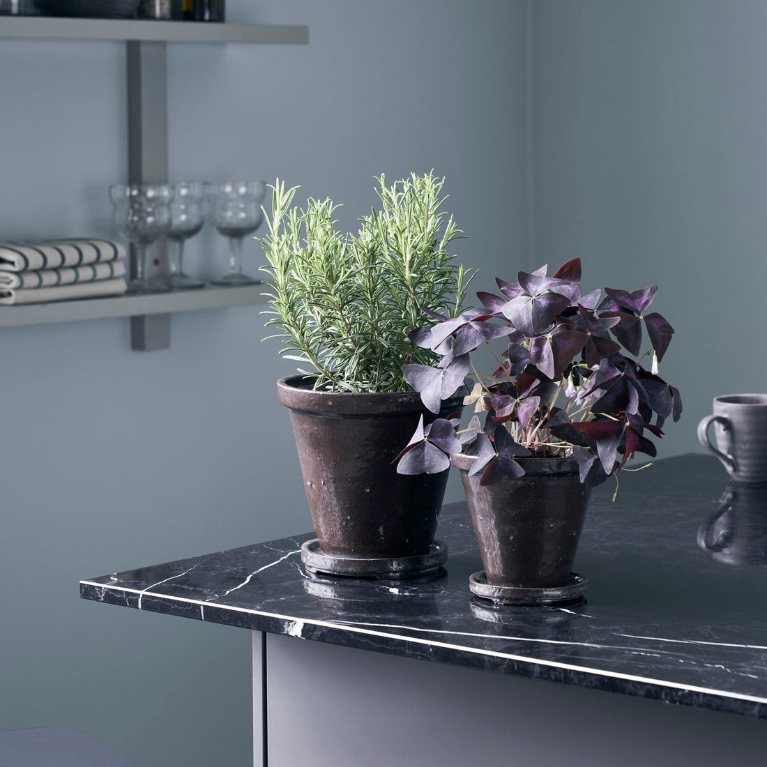 House Doctor Kaut Pot mit Untertasse, Blume, Brown-H: 12 cm, Durchmesser: 13,5 cm, h: 14 cm, dia: 16 cm