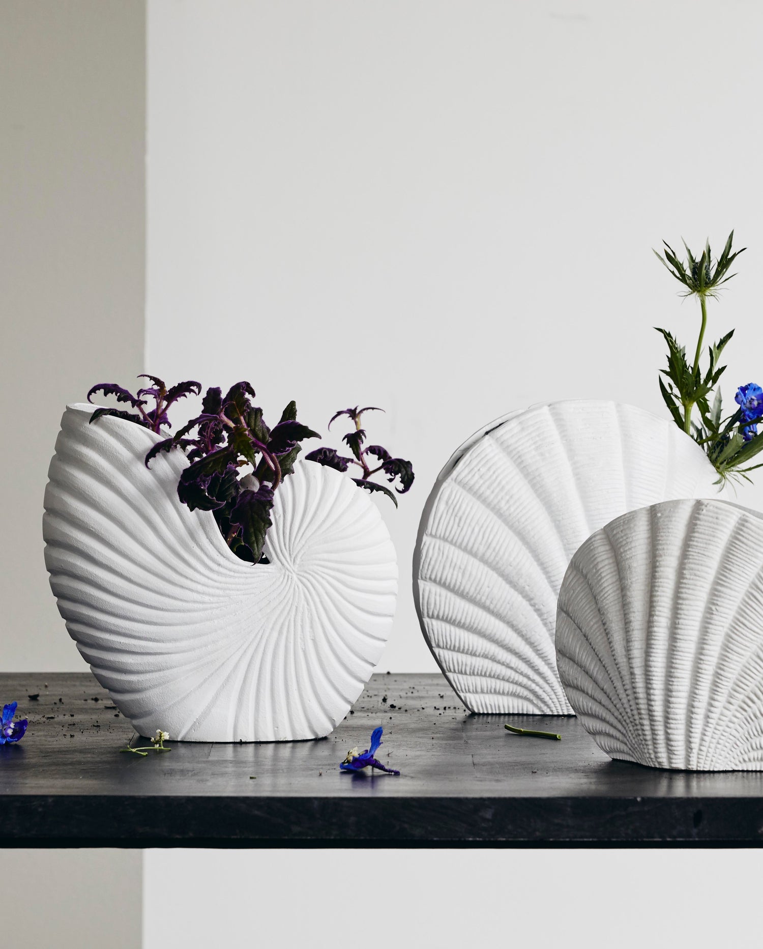 Rakitu Blumenvase - Kegel - H25 cm - Weiß
