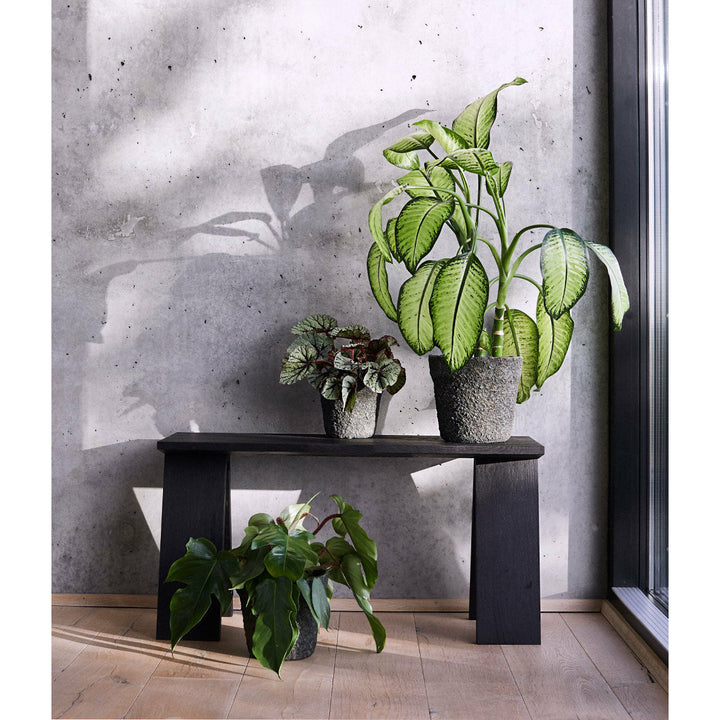 Krukke Mosu 16 - Mos grøn - Cement med rå sand finish - H: 16 Ø: 17 cm - Muubs - DesignGaragen.dk